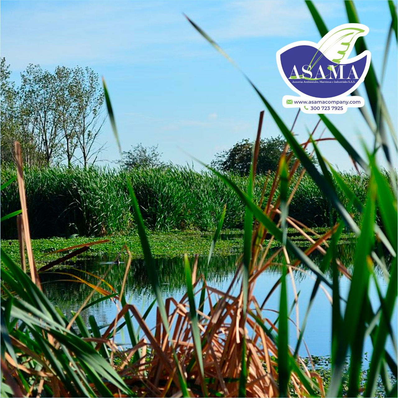 Dia mundia de los humedales de ASAMA